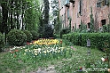 VBS_1115 - Castello di Piea d'Asti